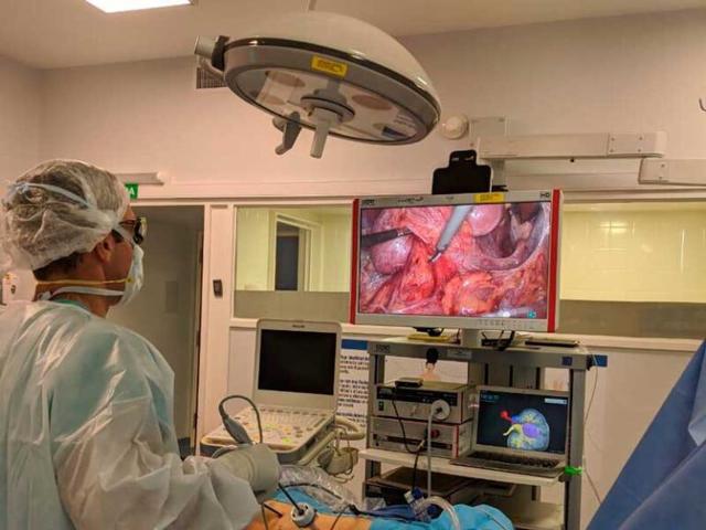 Planificación 3D digital: Nefrectomía parcial laparoscópica