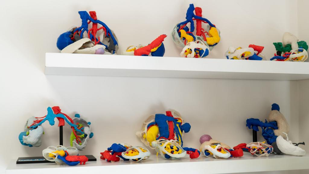 Dos estantes con modelos anatómicos 3D en la sala de consulta.